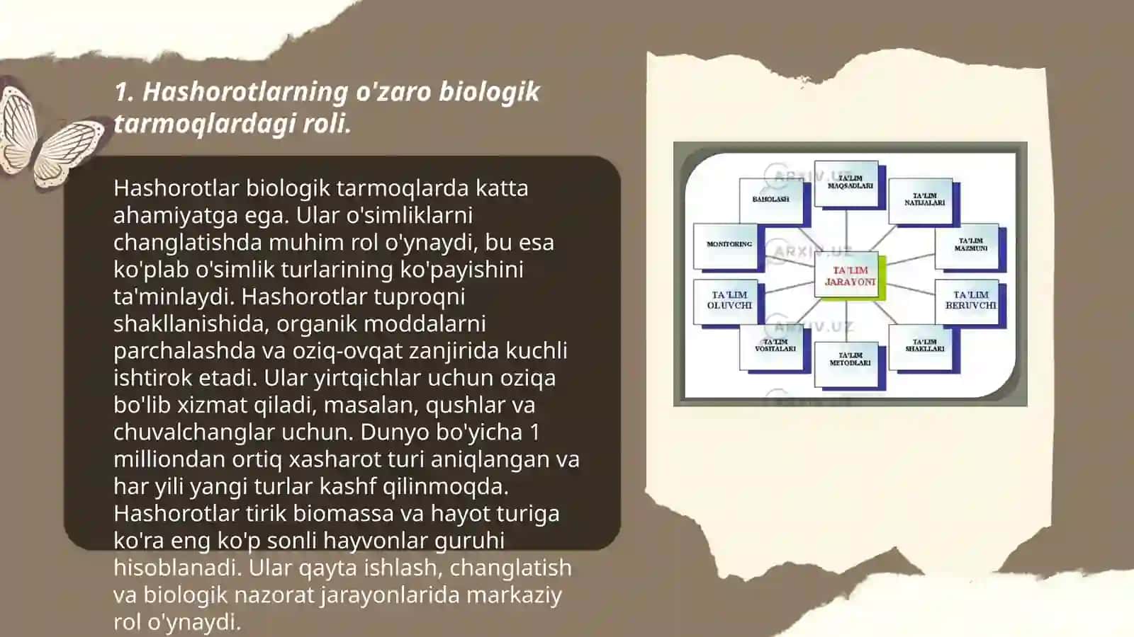 Hashorotlarning tabiatdagi ahamiyatlari Muammoli topshiriqlar. Viktorina savollar tayyorlash va taqdimotini o'tkazish 3
