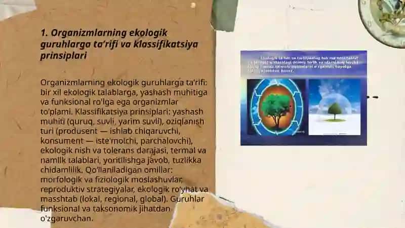 Organizmlarning ekologik guruhlari 3