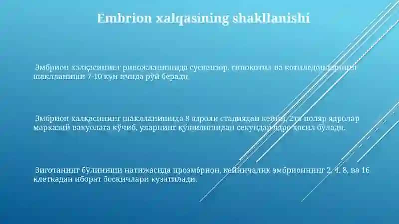 Androtsey va genetseyning rivojlanishi.mikrosporagenez va megasporagenez 3