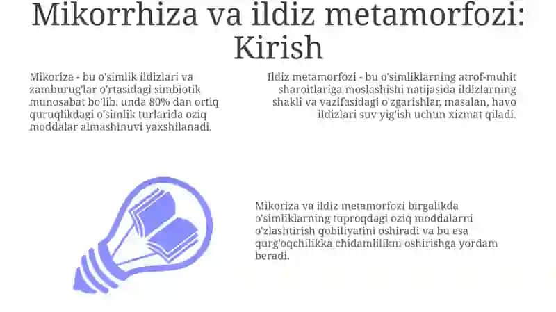 Mikoriza va ildiz metamorfozi 3