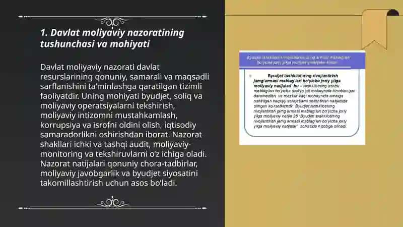 Davlat moliyaviy nazorati 3