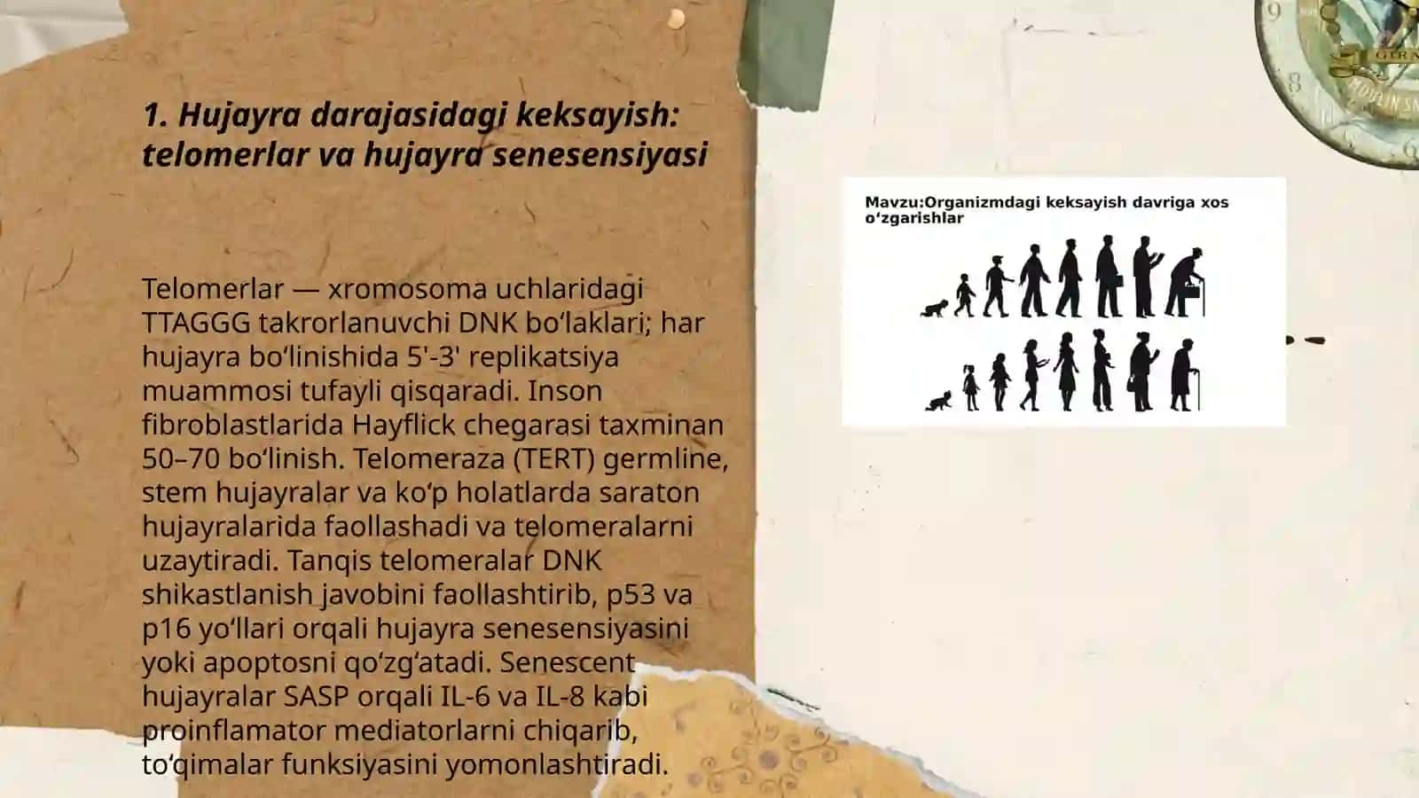 Organizmdagi keksayish davriga xos oʻzgarishlar 3