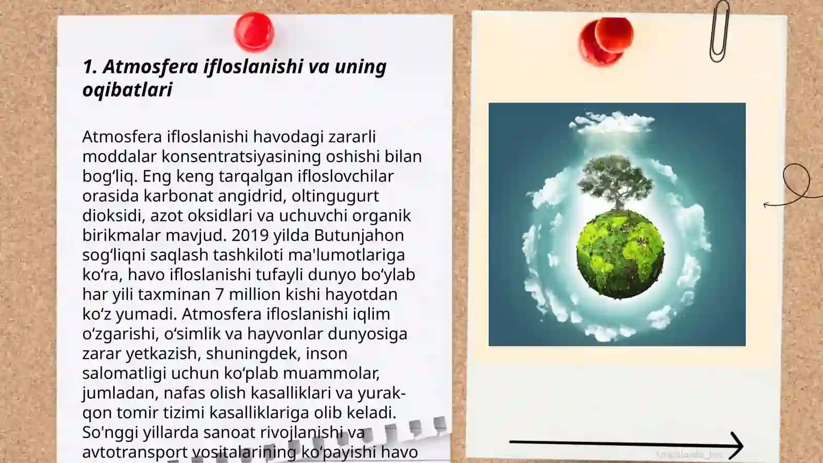 Eko tizim xizmatining holati va muammolari 3