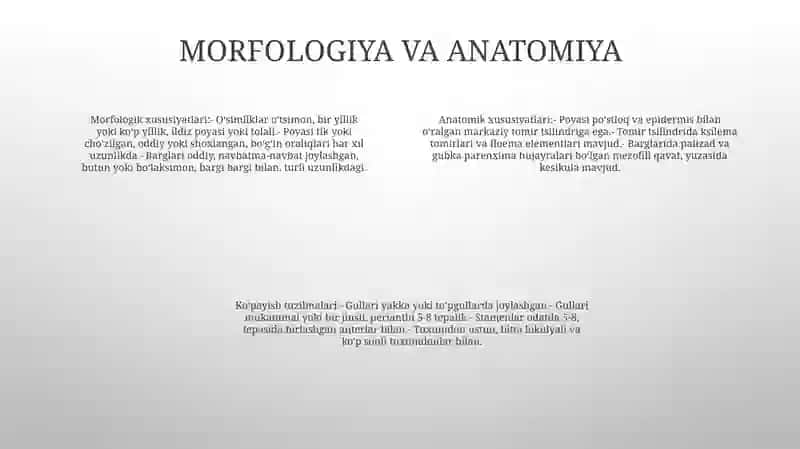 Ildizmevali O'Simliklar Biologiyasi Va Yetishtirish Texnologiyasi 3