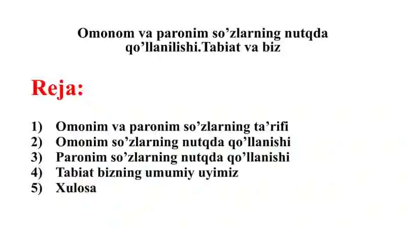 Omonom va paronim so’zlarning nutqda qo’llanilishi. Tabiat va biz 3