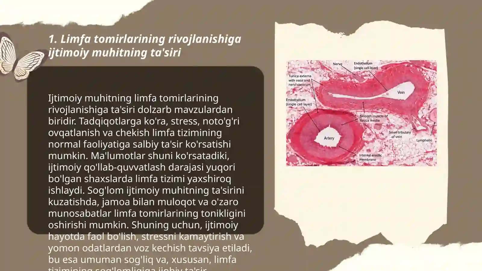 Limfa tomirlarining rivojlanishiga ijtimoiy muhitning ta'siri 3