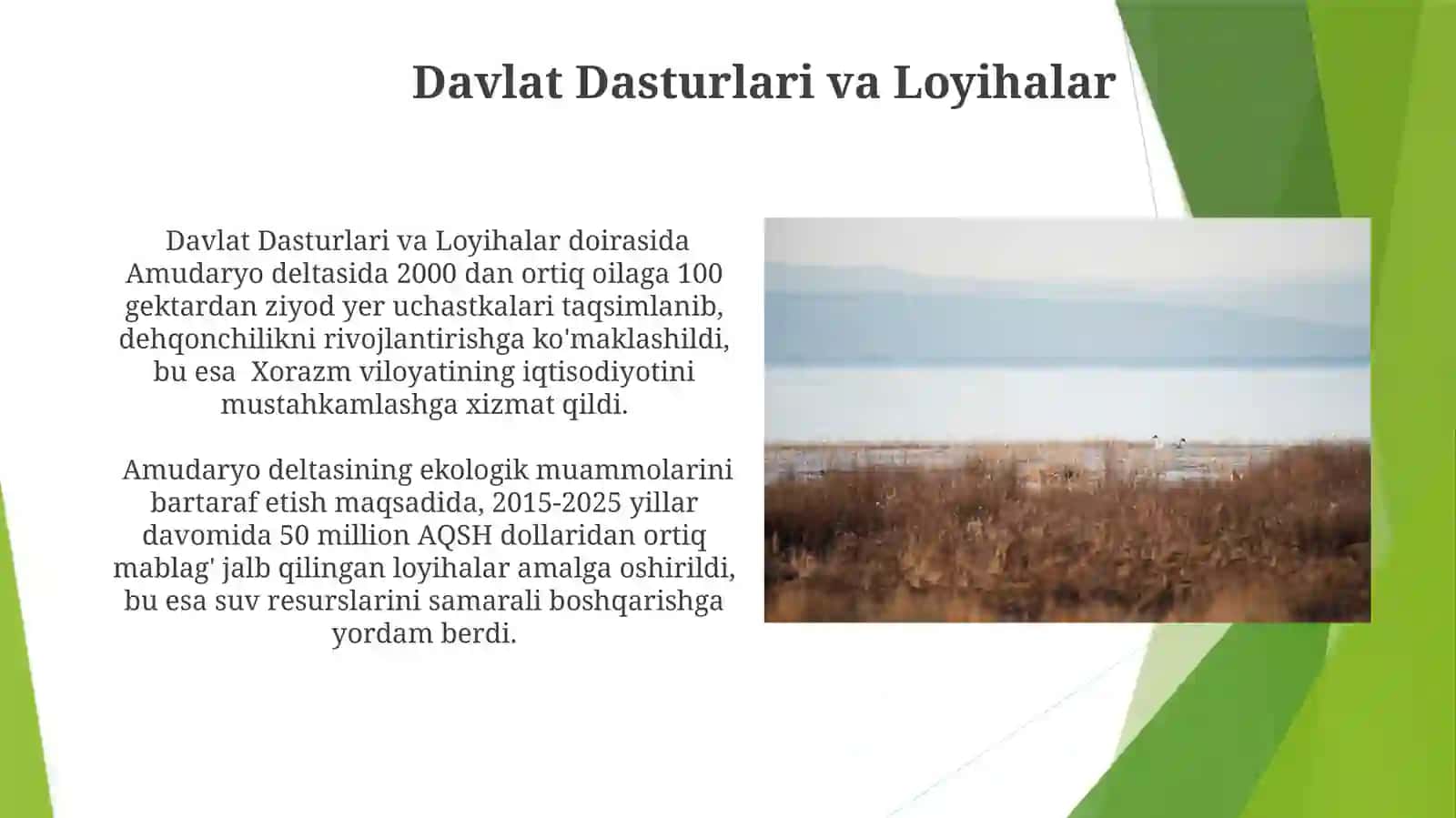 Amudaryo Deltasi 3