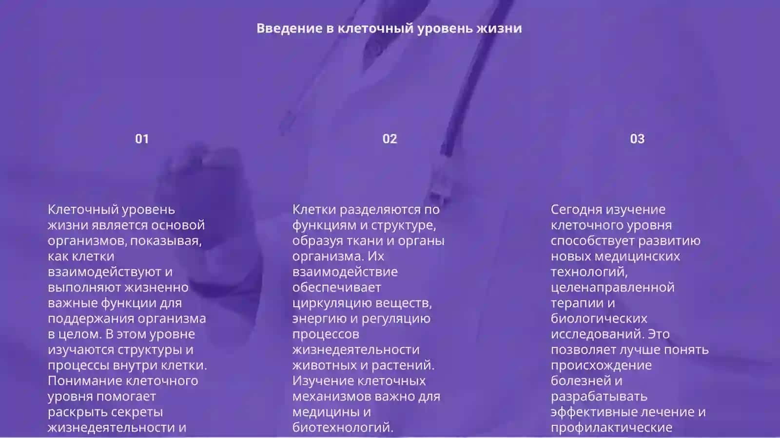 Клеточ уровень жизни 3