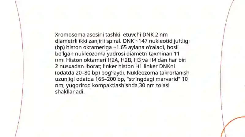 Tirik mavjudotlar xromosomalarining tuzilishi, soni va genetik xaritalashdagi ahamiyati Tulumurotova Mavluda 3