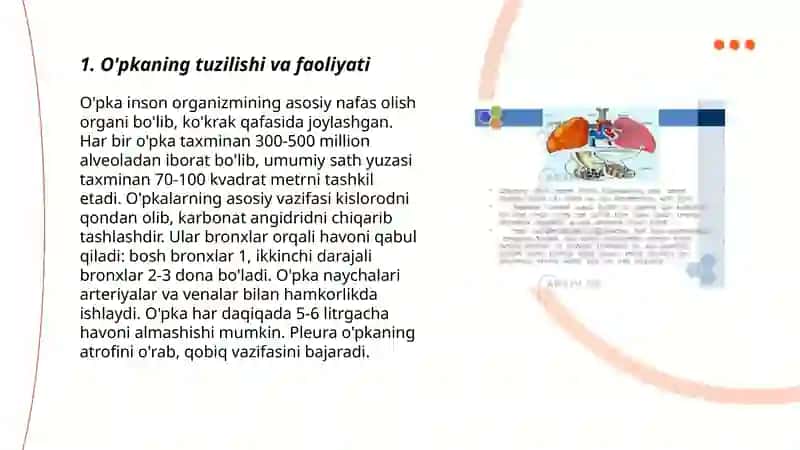 O`pkada gaz almashinivining fizik va biologik mexanizmlari 3