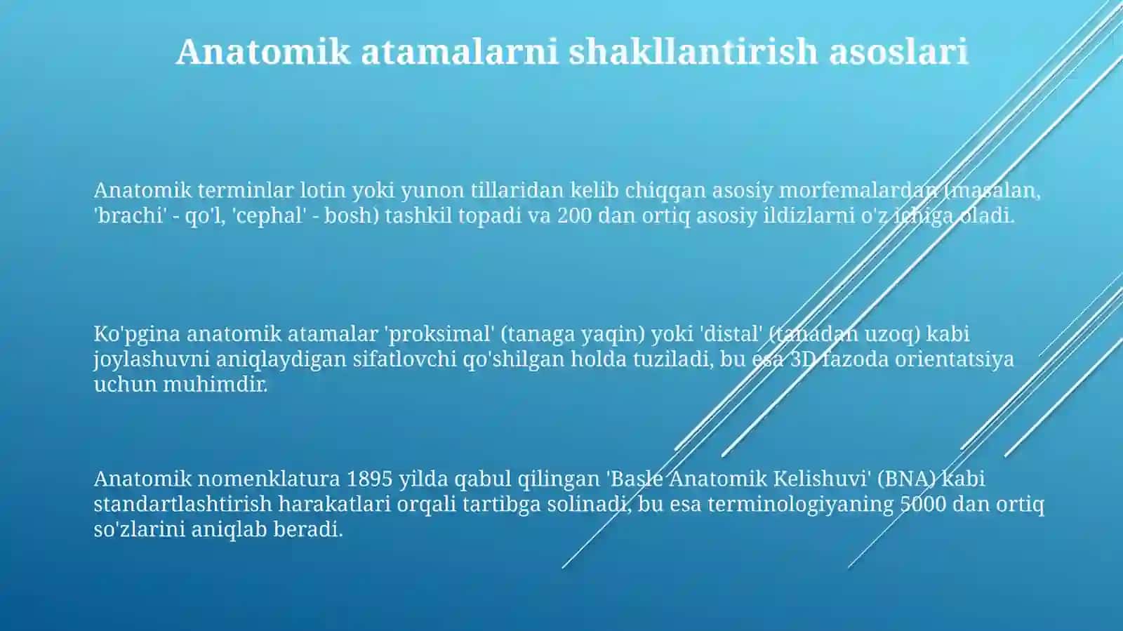 Anatomik terminlar tuzish 3
