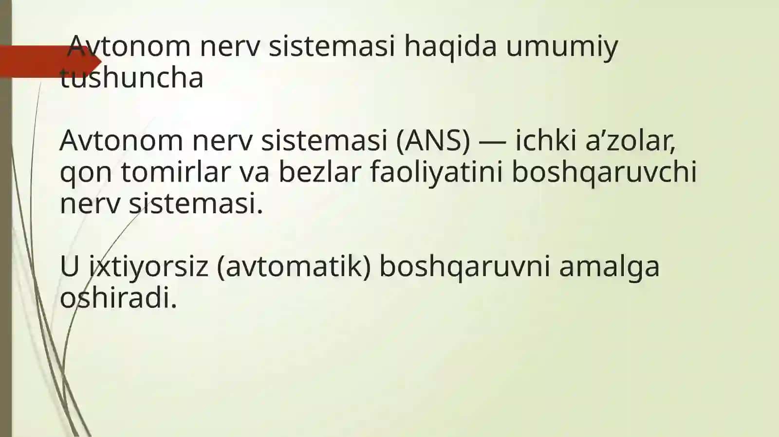 Vegetativ nerv sistemasini anatomiyasi 3