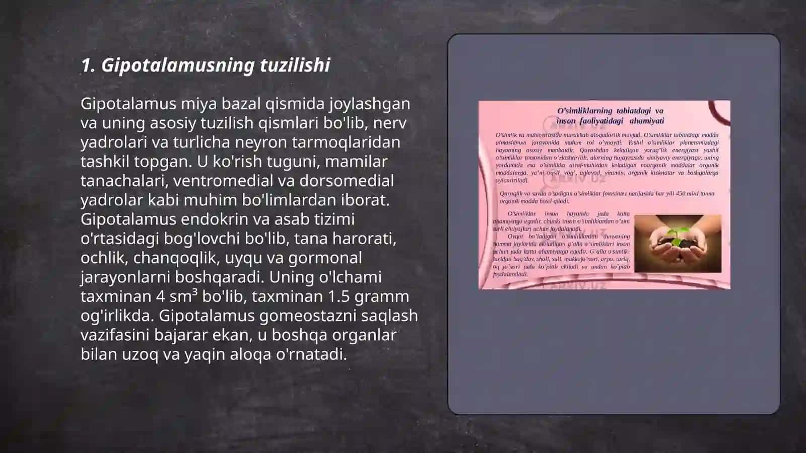 Gipotalamus oʻzaklari va ularning ahamiyati 3