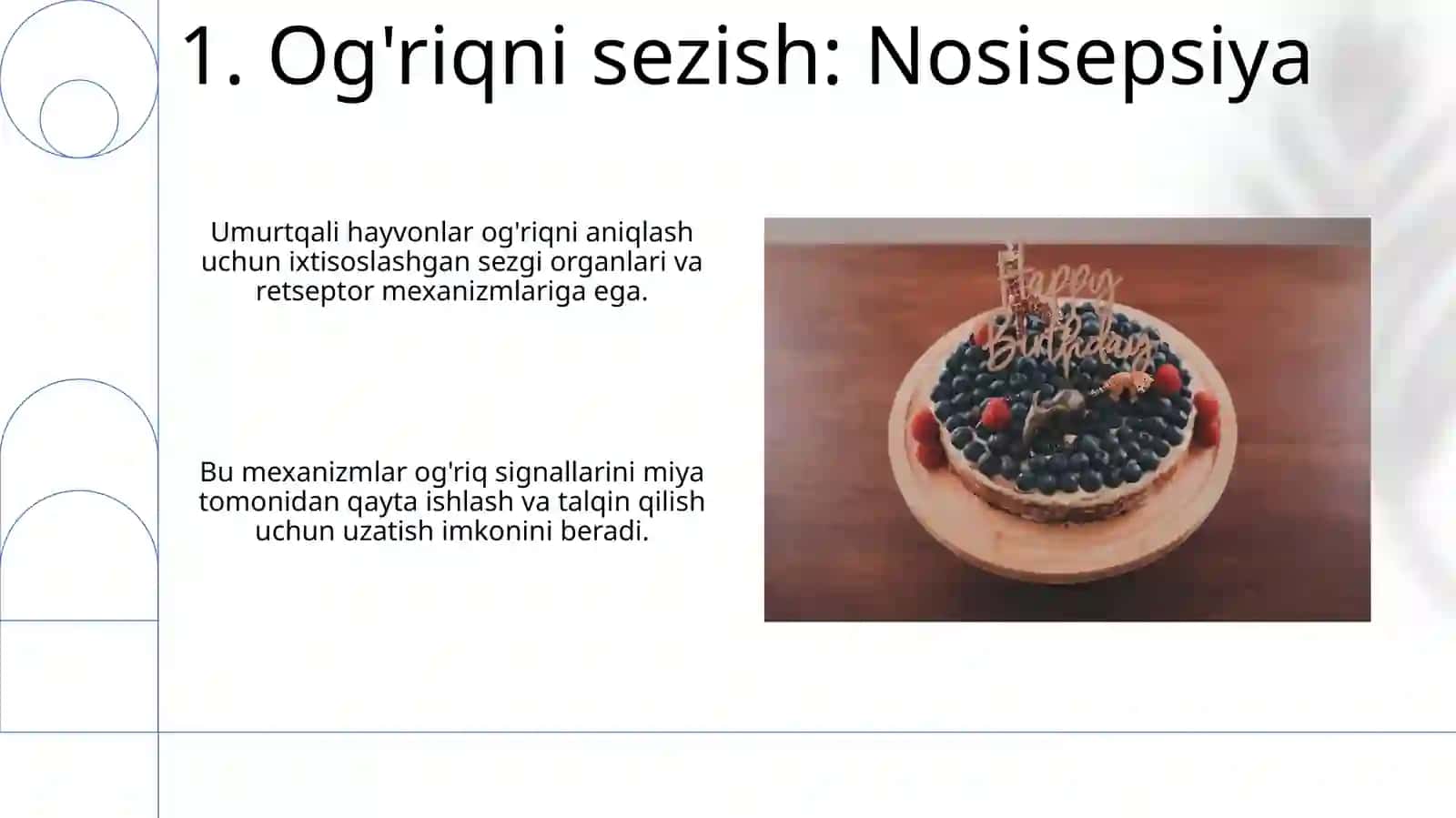 Umurtqali hayvonlar sezgi azolari, sensor(qabul qilish) mexanizimlari 3