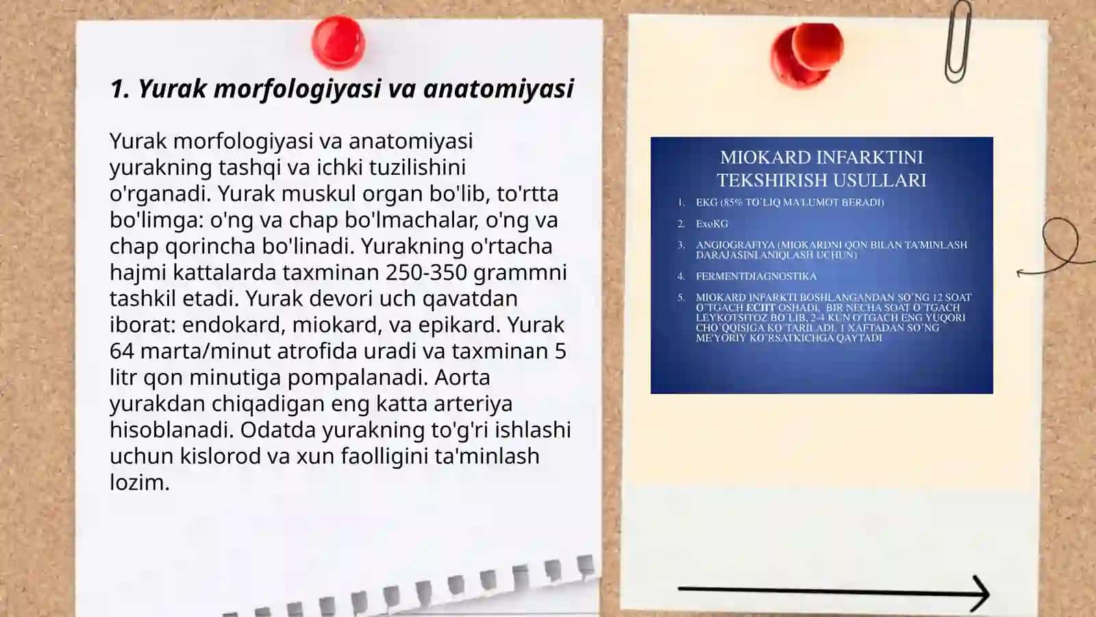 Yurak foaliyatini tekshirish usullari 3