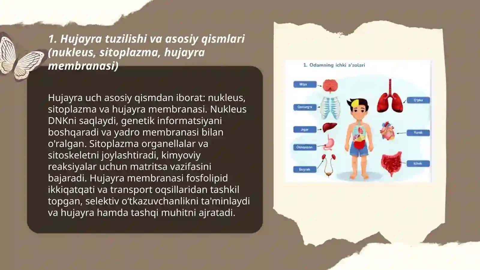 Odam tana qismlari tuzilishi va funksiyalari 3