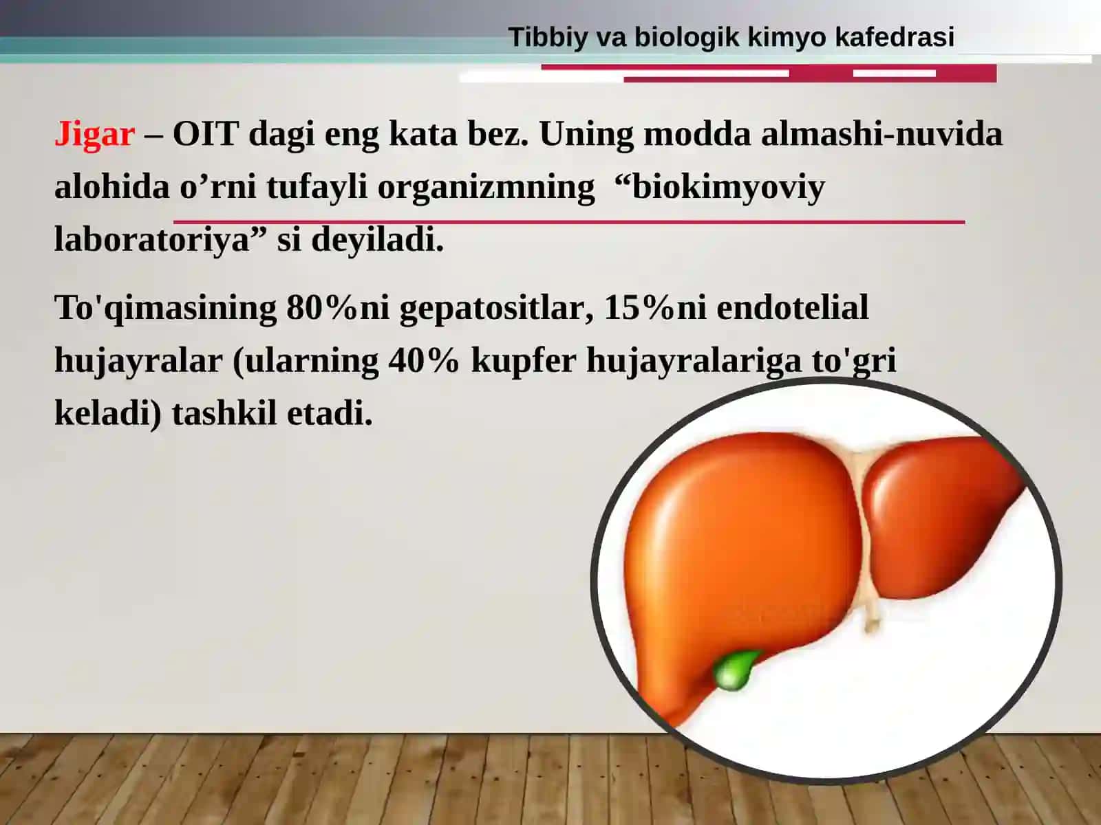 JIGAR biokimyosi 3