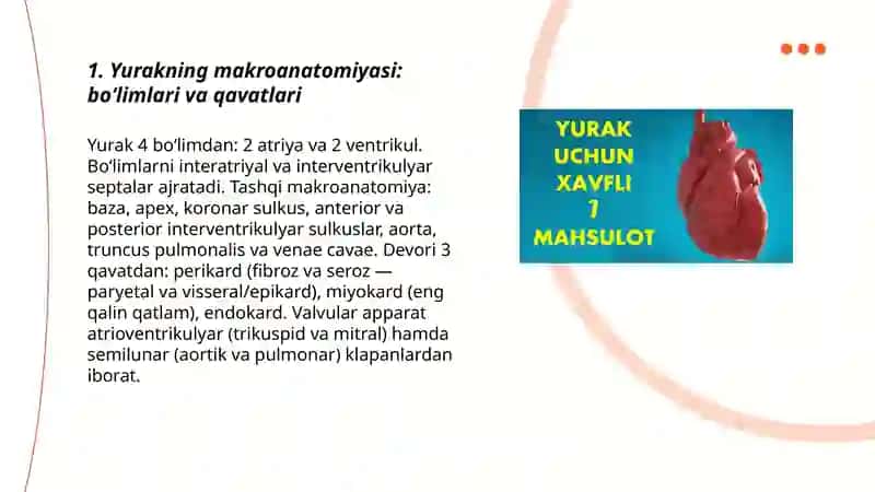 Yurakning tuzilishi, yoshga xos xususiyatlari 3