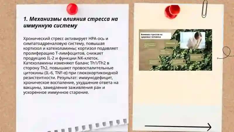 Стресс-причина всех болезней 3