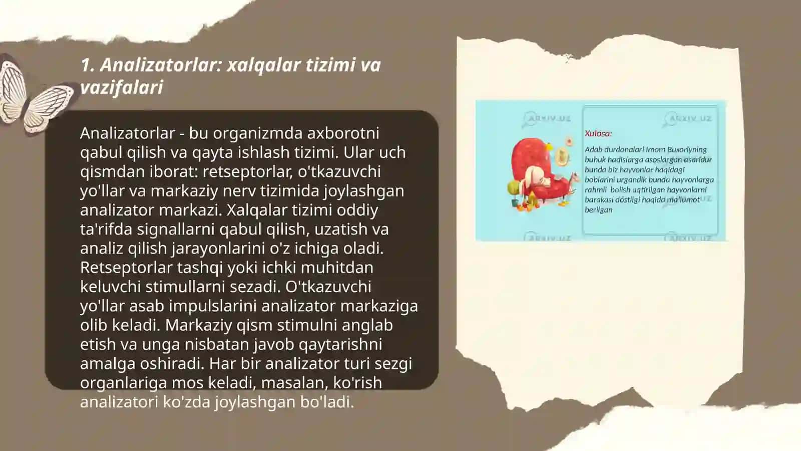 Analizatorlarning yoshga oid xususiyatlari 3