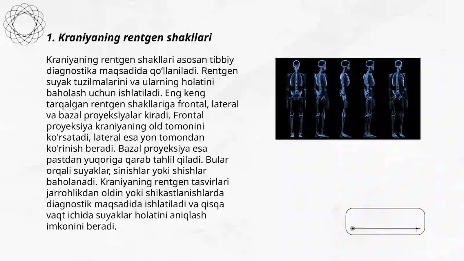 Skelet suyaklarining rentgenanatomiyasi 3