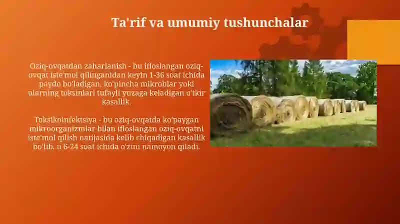 Oziq-ovqatdan zaharlanishlar,toksikoinfeksiyaqo’zg'atuvchilari 3