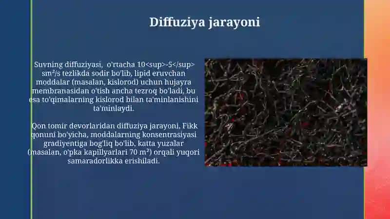 Qon tomirlari devori orqali moddalar almashishining Biofizikaviy mexanizmi 3