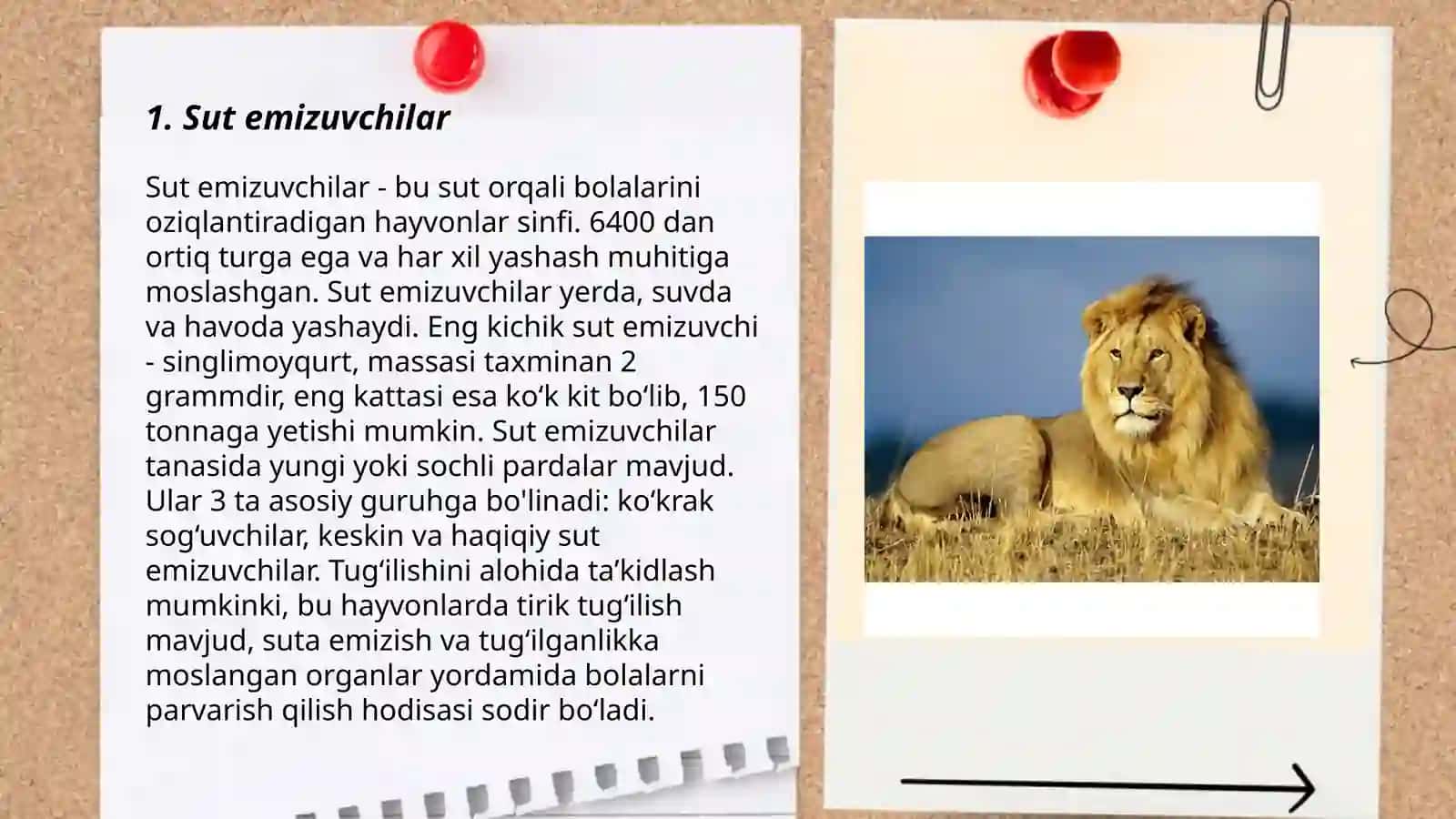 Sut emizuvchilar 3