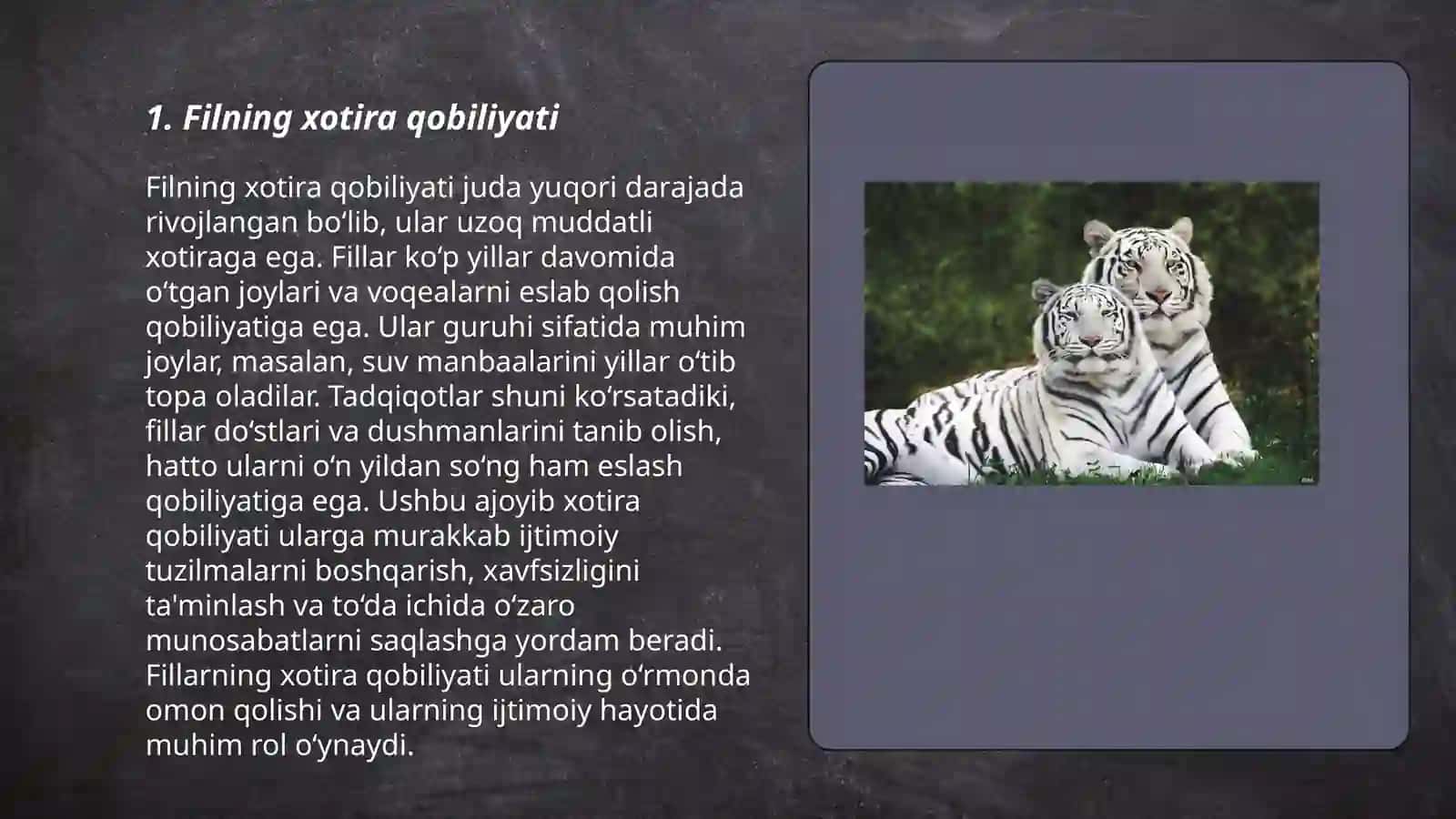 Hayvonlar haqidagi qiziqarli faktlar 3