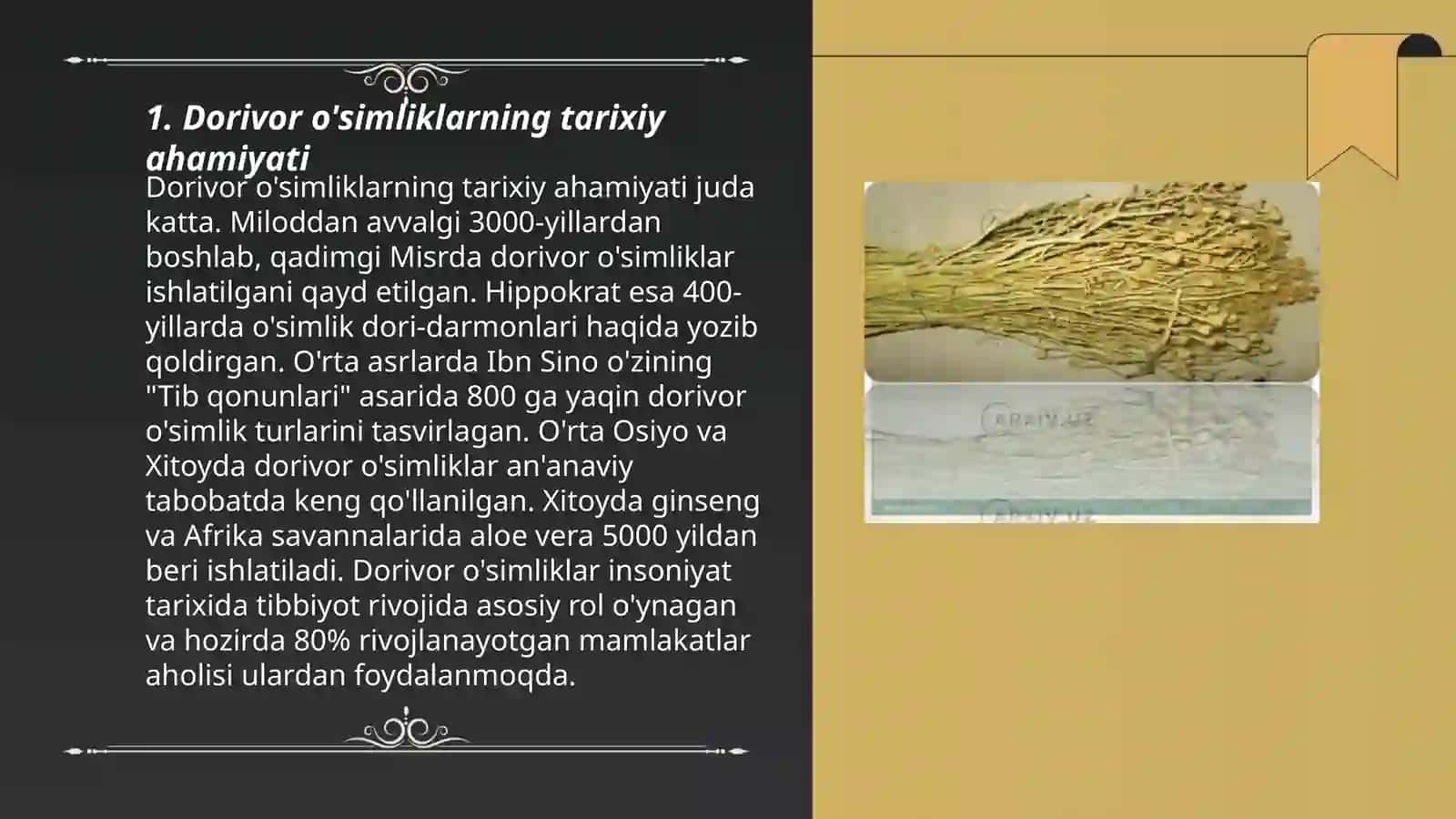 Dorivor o'simliklarni inson hayotidagi ahamiyati 3