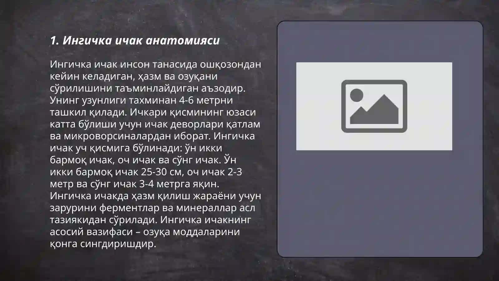 Ингичка ичак физиологияси, вазифаси ва жойлашган жойи 3