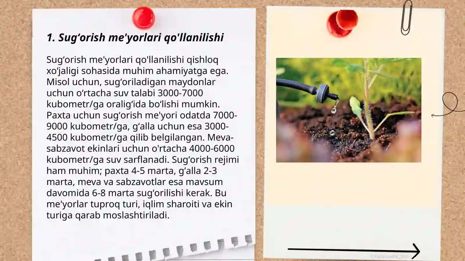 Sugʻorish me'yorlari qo'llanilishi 3