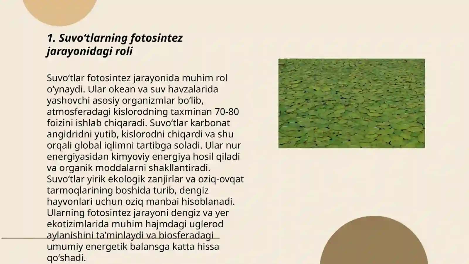Suvoʻtlarning fotosintez jarayonidagi roli 3