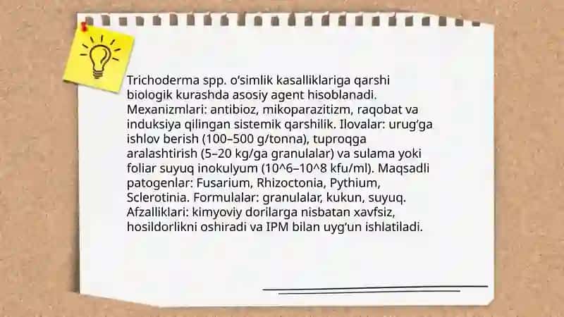 Trichoderma spp. oʻsimlik kasalliklariga biologik kurash 3