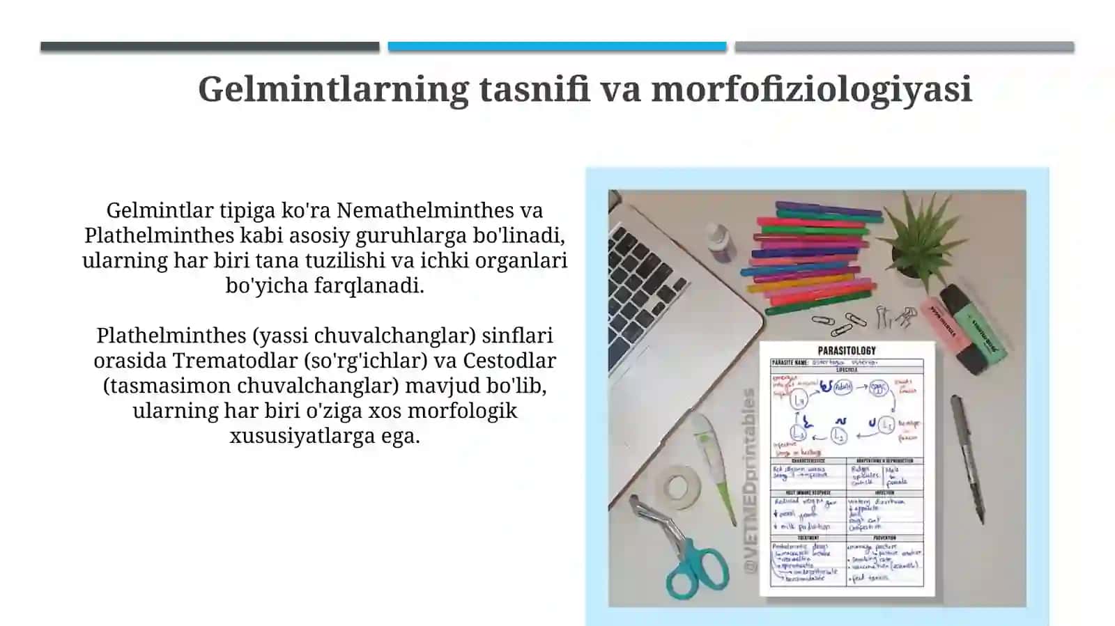 tibbiy gelmintalogiya 3