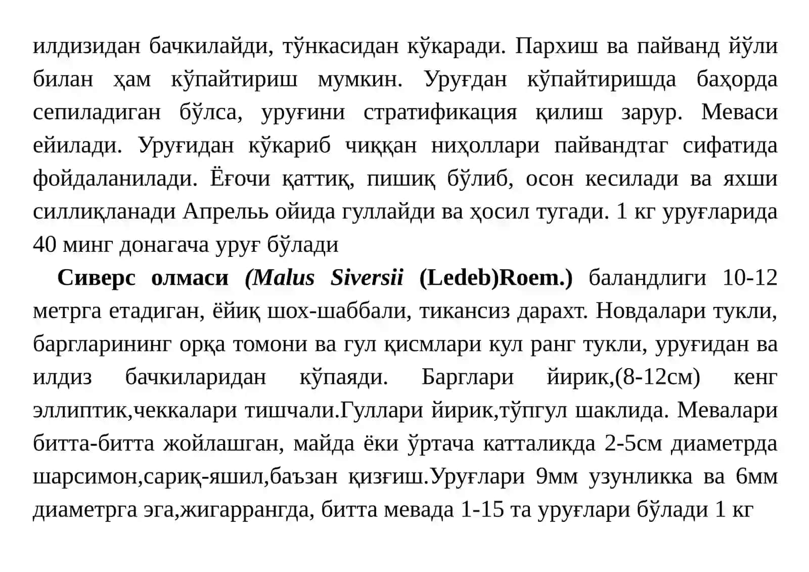 ОЛМА(MALUS)ТУРКУМИ 3