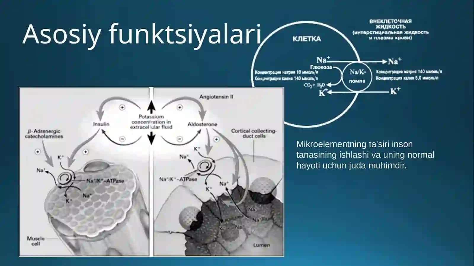 INSON JANASIDA KALIY 3