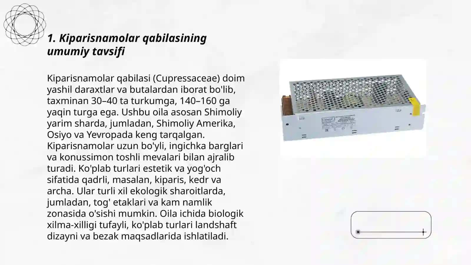 Kiparisnamolar qabilasi.Umumiy tavsifi.Taksodiumdoshlarning va archadoshlar oilalarining umumiy tavsiflari.Ularning muhim turkum va turlari,ekologiyasi,biosferadagi va xõjalikdagi ahamiyati 3