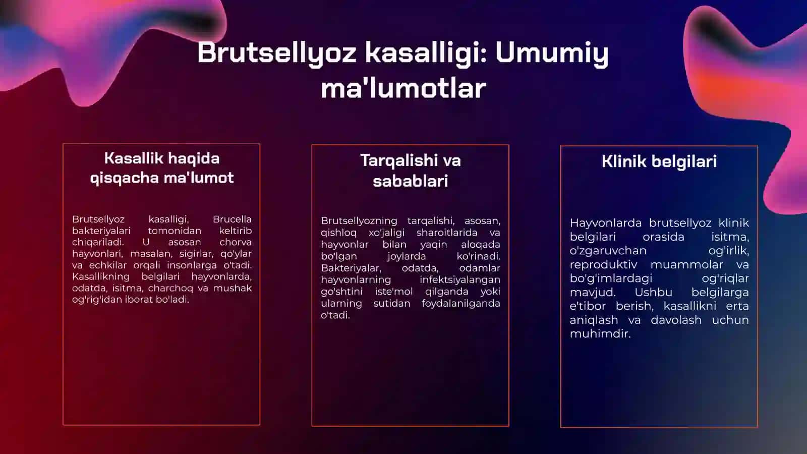 Hayvonlarda brutsellyoz kasalligi va klinik belgilari 3
