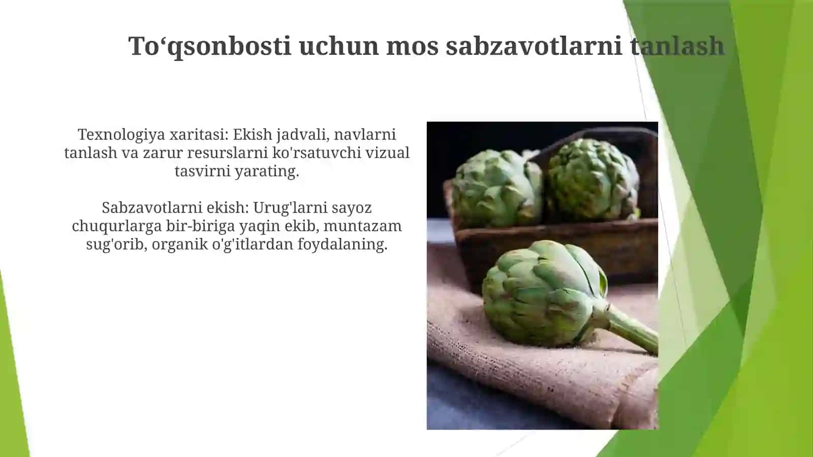 "ToʻQsonbosti" Sabzavot Ekishning Texnologik Xaritasi 3