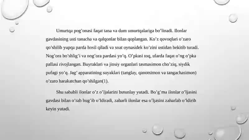 O’ZBEKISTONDA UCHRAYDIGAN ZAHARLI ILONLAR VA ULAR ZAHRINING XUSUSIYATLARI 3