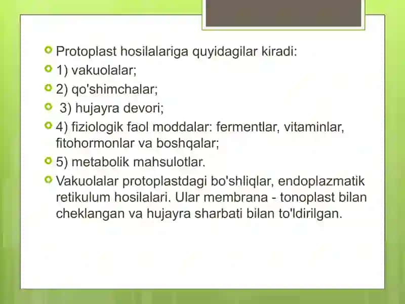 Protoplast hosilalari 3