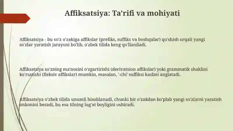 Affiksatsiya: Ta'rifi va mohiyati 3
