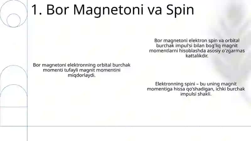 Bor Magnetoni 3