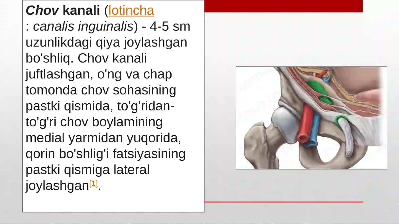 CHOV KANALI RIVOJLANISHI CHOV 3