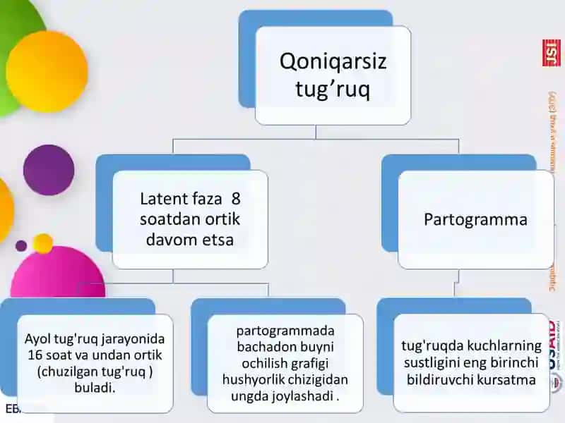Tug’ruqni aktiv va passiv fazalari 3