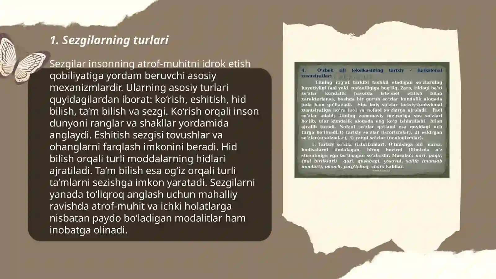 Sezgilarning turlari 3