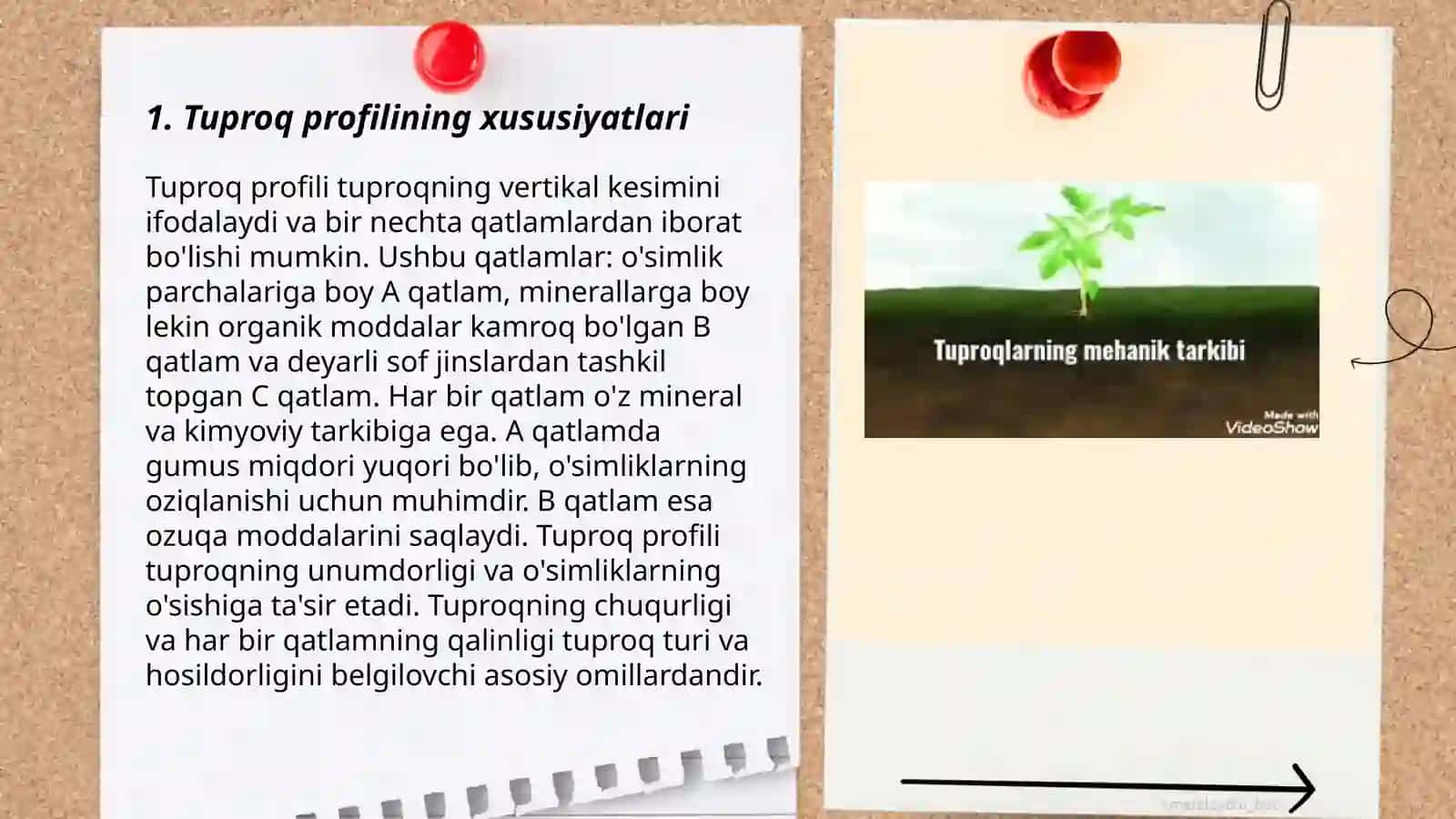 Tuproqning morfologik belgilarini tahlil qilish 3