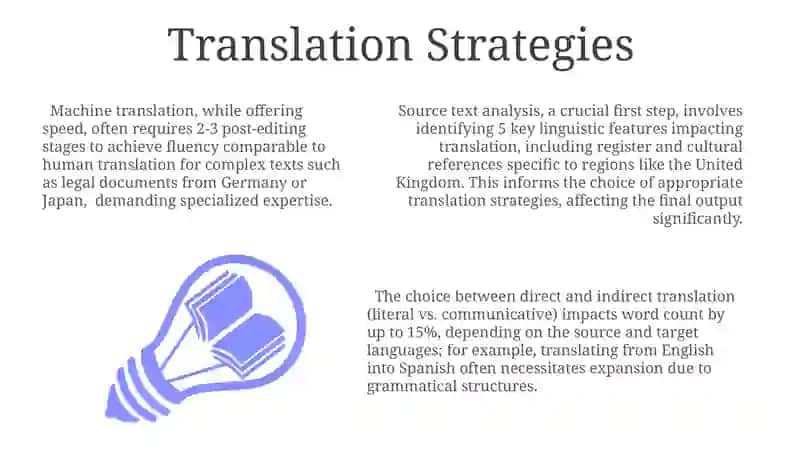 Translation Process and Challenges 3