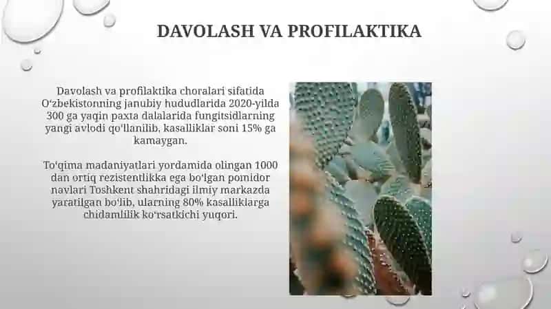 Oʻsimlik kasalliklariga qarshi qoʻllaniladigan kimyoviy vositalar 3